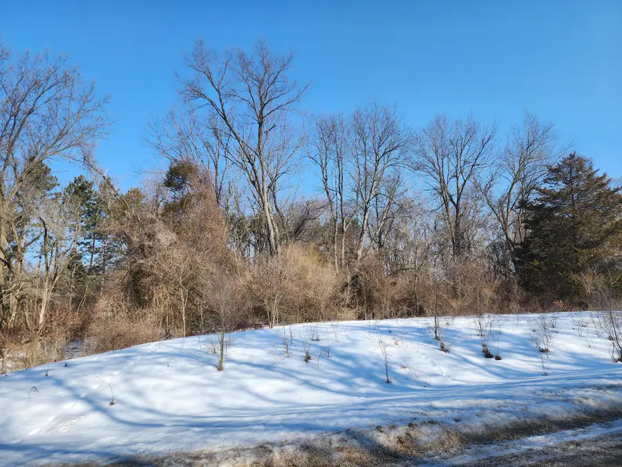 Shorewood Drive #Lot 2, Three Rivers, MI 49093 - #3
