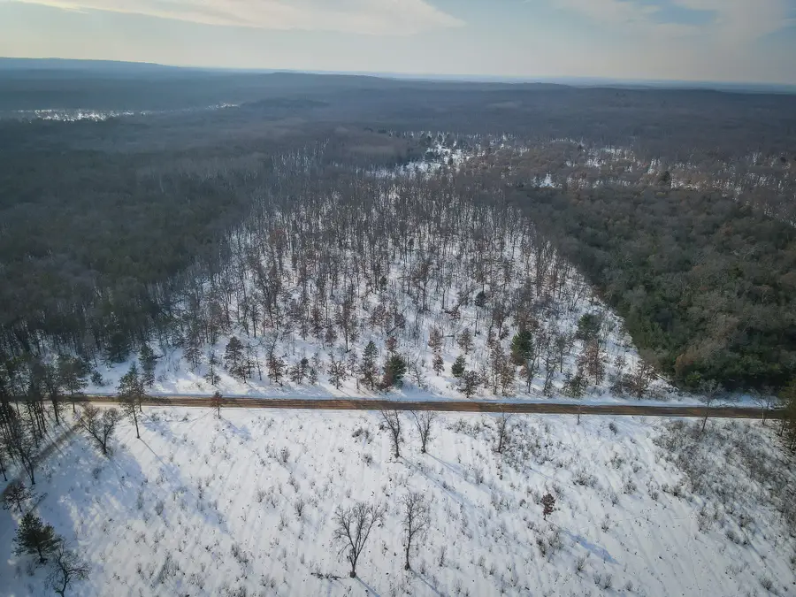 2043 N Peacock Trail, Irons, MI 49644 - #2