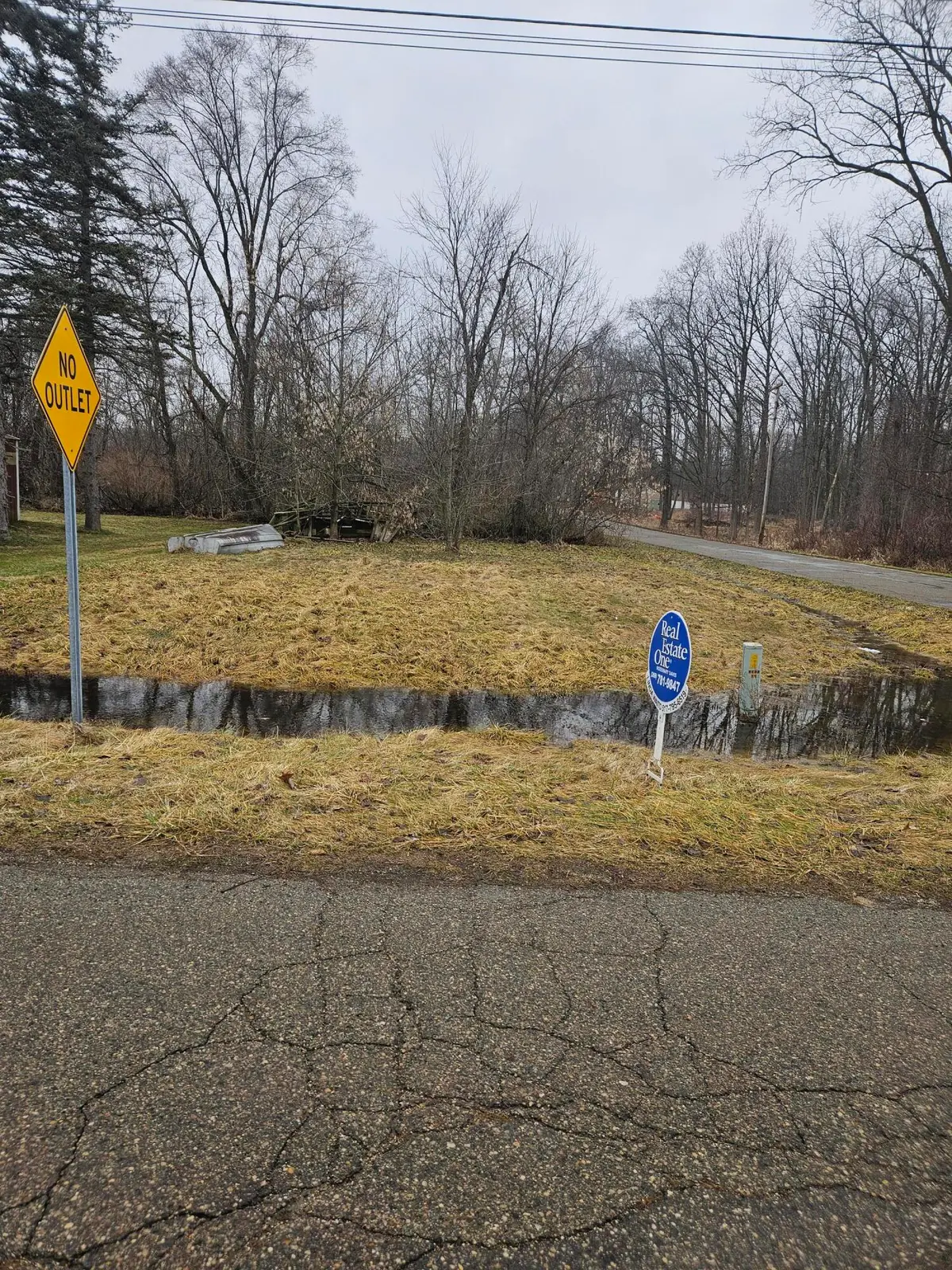 5901 Monroe Road, Olivet, MI 49076 - #1