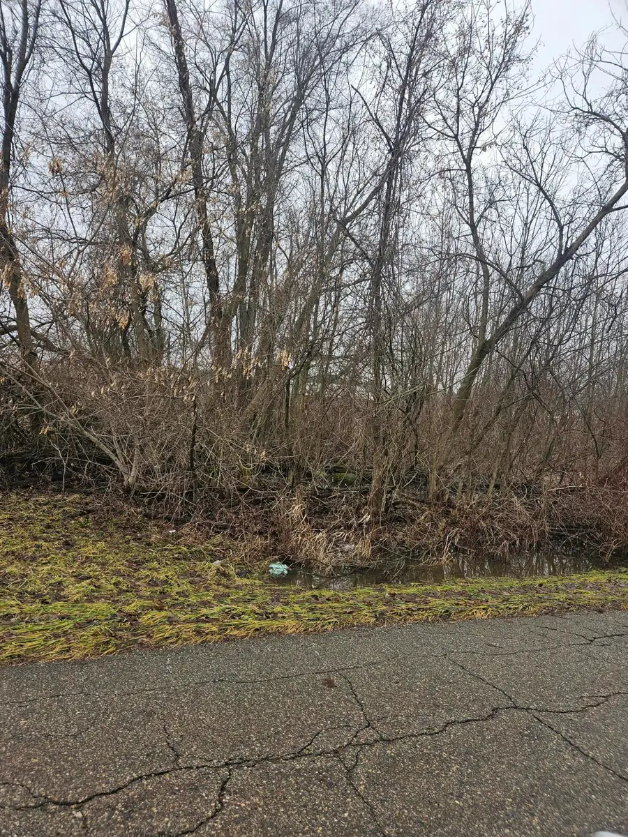 5901 Monroe Road, Olivet, MI 49076 - #2