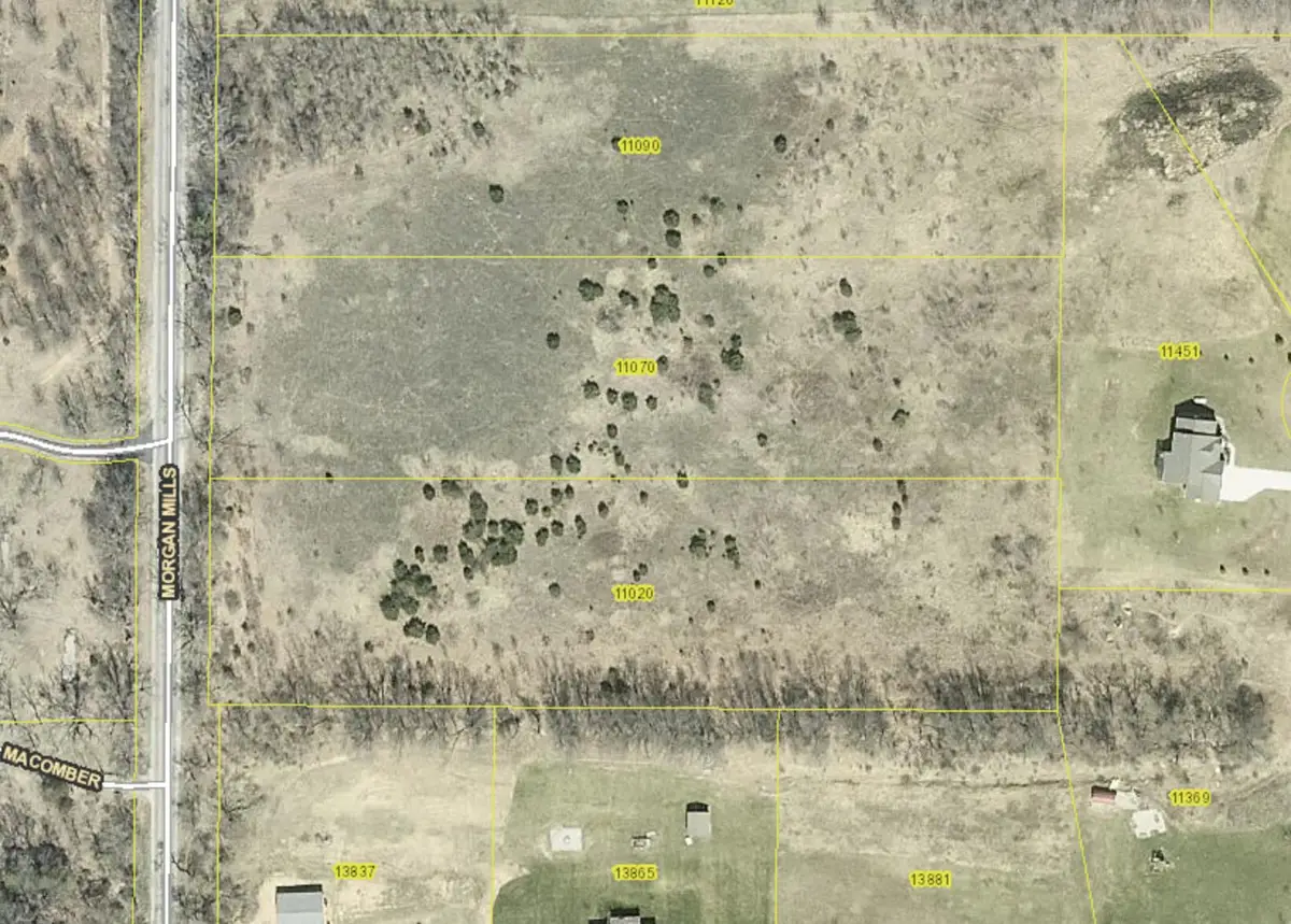 11020 Morgan Mills Avenue Ne, Greenville, MI 48838 - #1