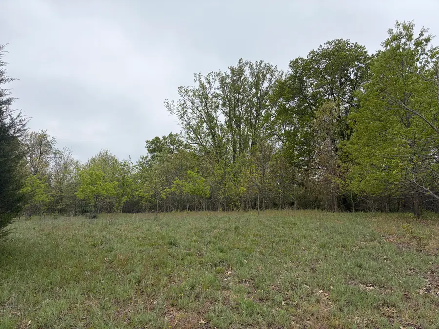 11020 Morgan Mills Avenue Ne, Greenville, MI 48838 - #3