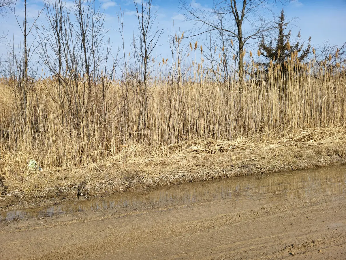 0 Carleton West Road, New Boston, MI 48164 - #1