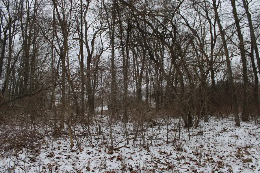 7998 4 Mile Road Ne, Ada, MI 49301 - #2