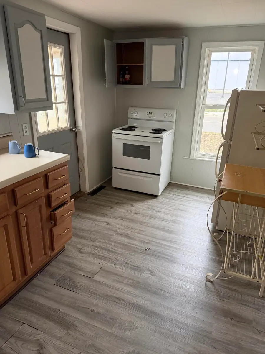 29 Broughton Street, Quincy, MI 49082 - #3