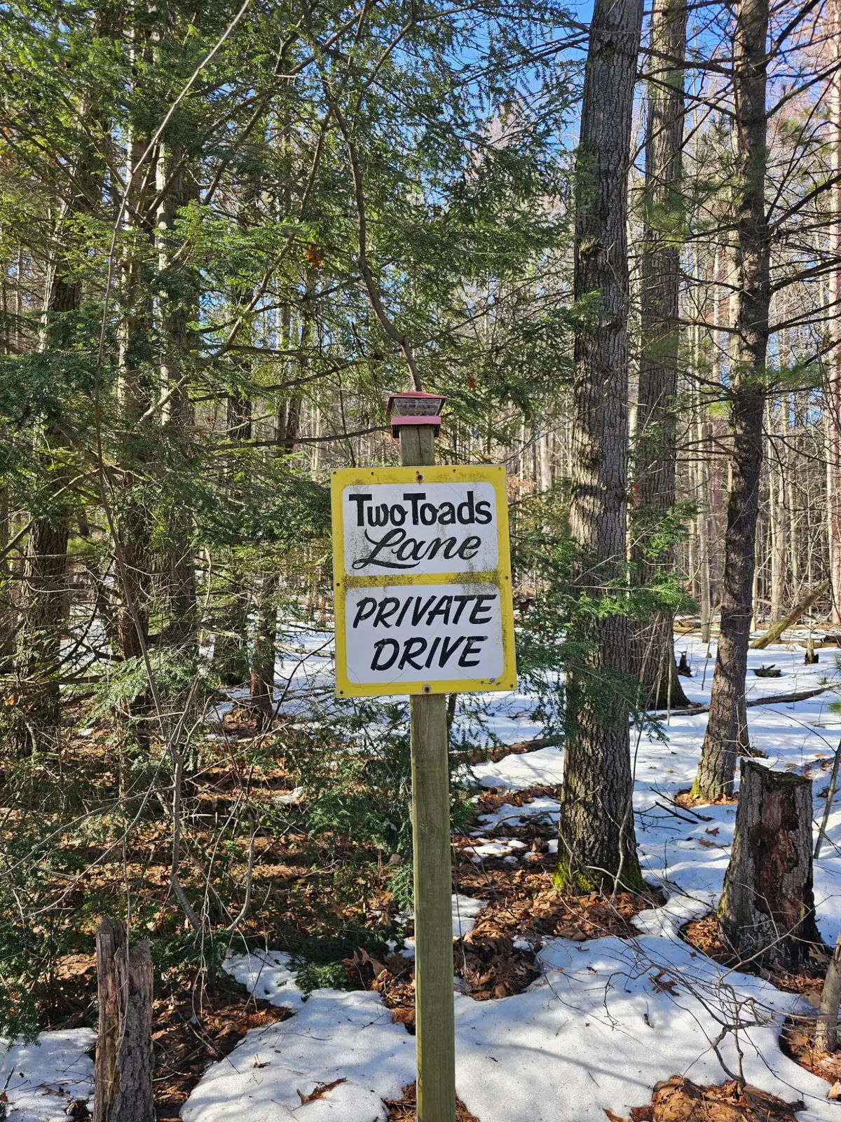 o V/L NE Hickory Street, Fruitport, MI 49415 - #1