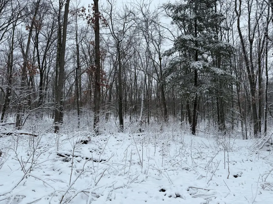 Steinberg Road, Wellston, MI 49689 - #2