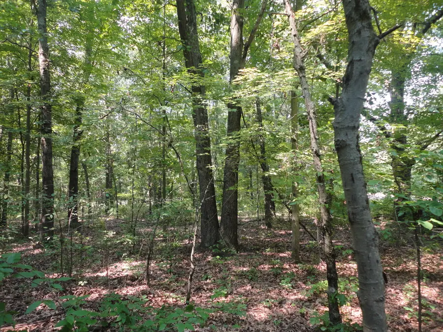 Parcel C 16th Avenue, Grand Junction, MI 49056 - #2