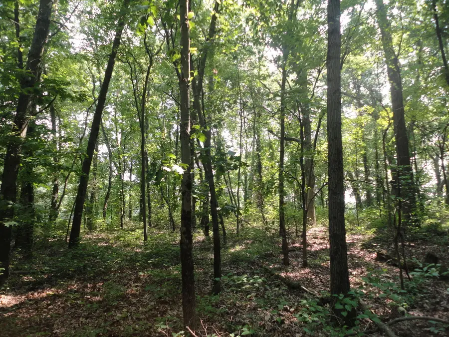 Parcel C 16th Avenue, Grand Junction, MI 49056 - #3