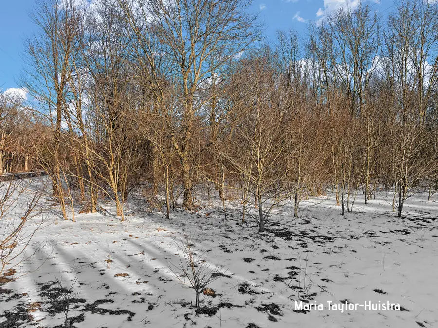 0 Szymas Drive, Grand Haven, MI 49417 - #2