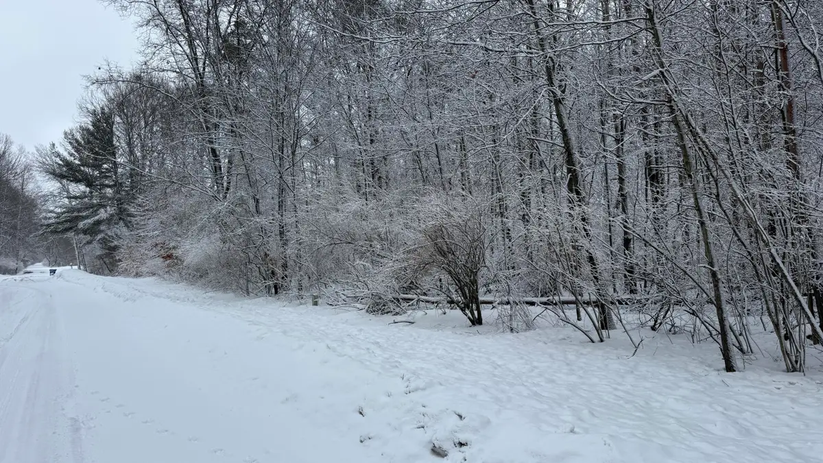 6416 S Taylor Road, Branch, MI 49402 - #1