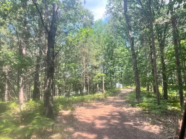 6142 N Sunshine Drive, Irons, MI 49644 - #3