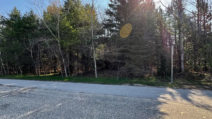 Lot # 9 Whitetail, Cadillac, MI 49601 - #2