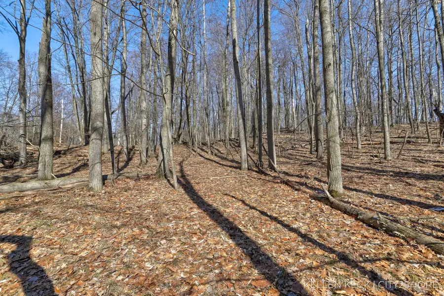 11260 Apache Wells Court, Canadian Lakes, MI 49346 - #2