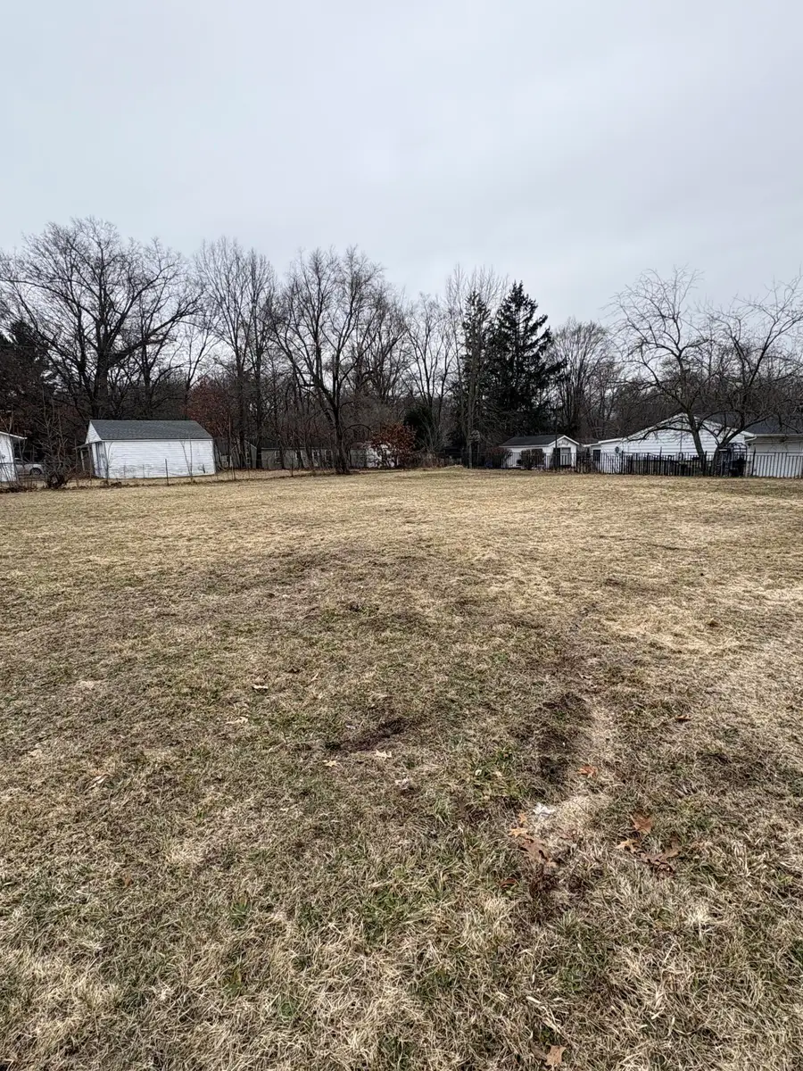 219 Redner Avenue, Battle Creek, MI 49037 - #3