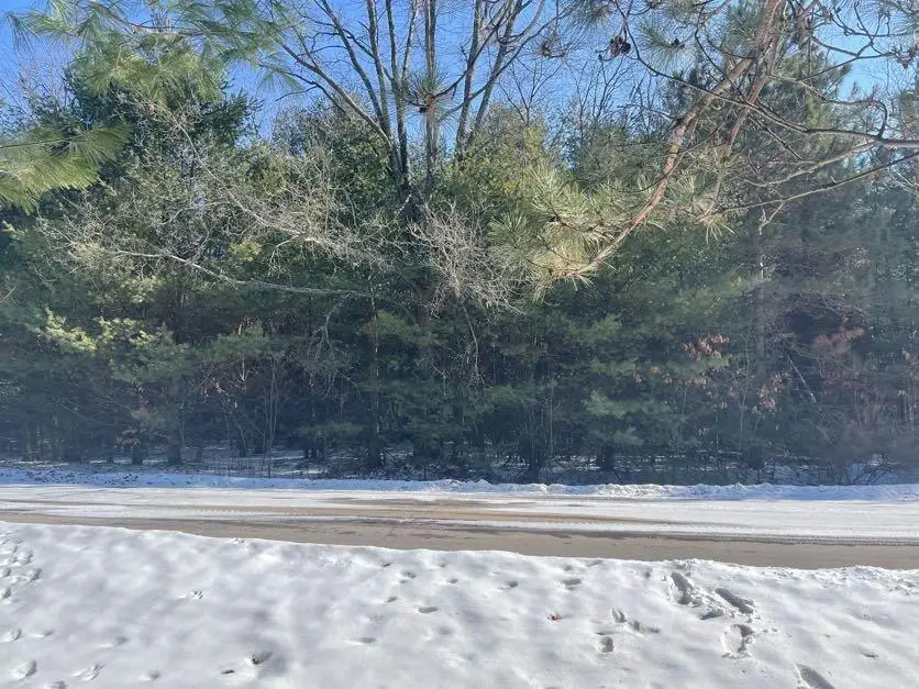 9086 Forest Pines Drive, Mecosta, MI 49332 - #2