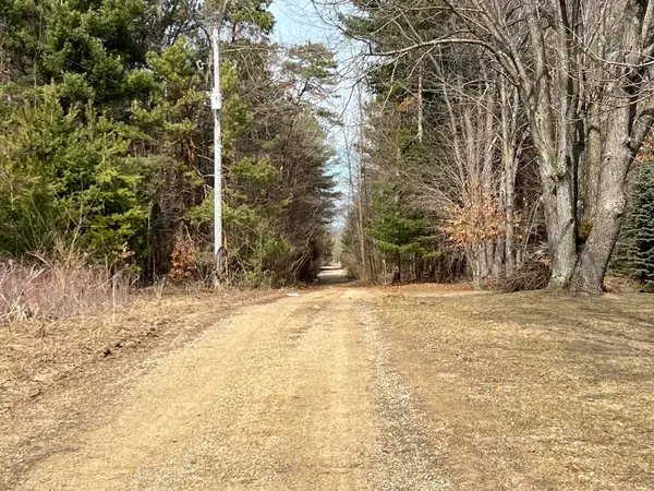 0 Leapfrog Lane #4, Fennville, MI 49408