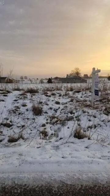 5194 S Columbine Lane, Fremont, MI 49412