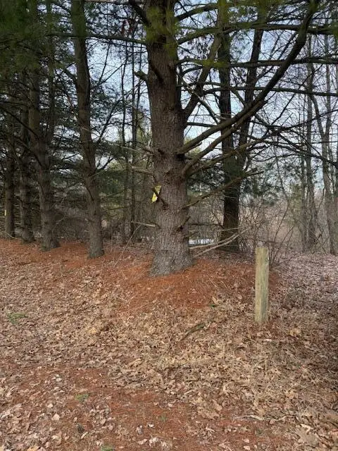 4311 S Youngman Road, Greenville, MI 48838 - #1