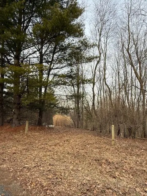 4311 S Youngman Road, Greenville, MI 48838 - #2