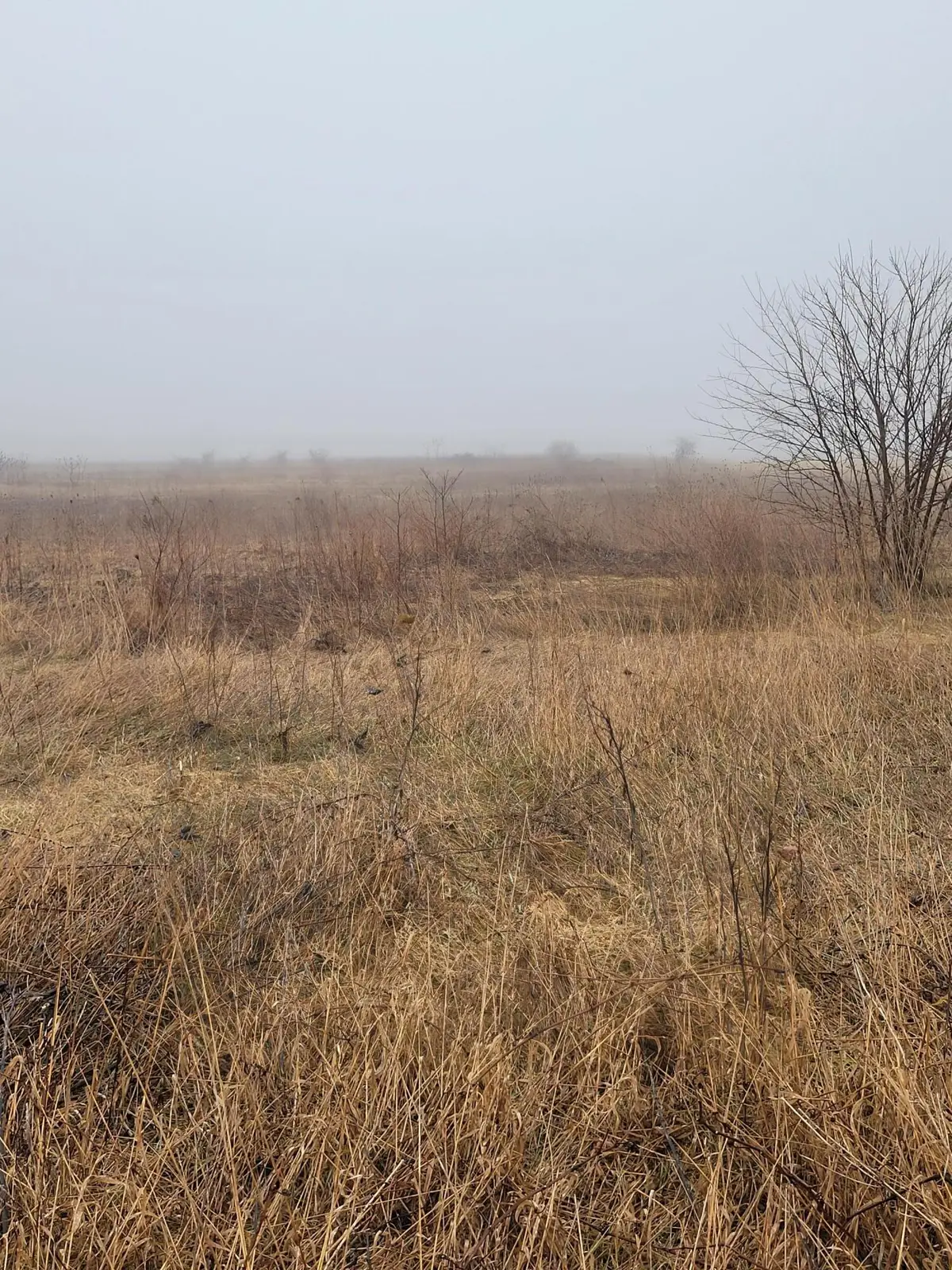 62nd Street, Fennville, MI 49408 - #1