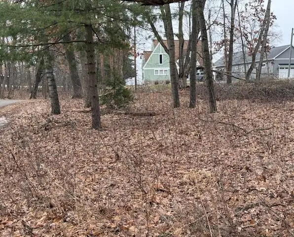 7664 8th Street, Stanwood, MI 49346 - #3