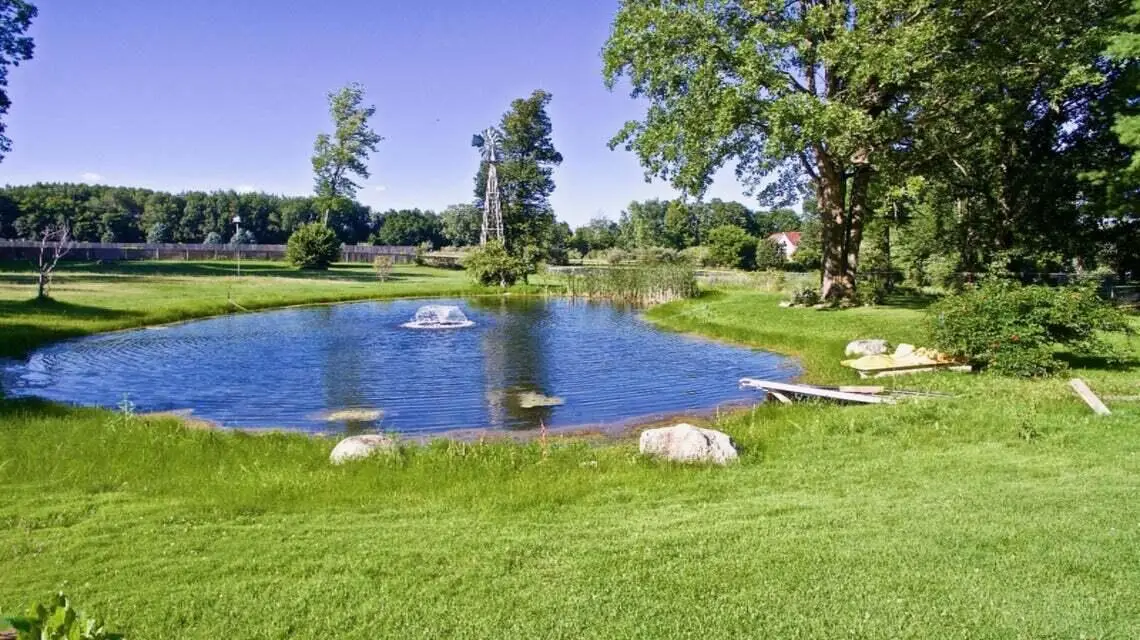 11640 W Monroe Road, Riverdale, MI 48877 - #1