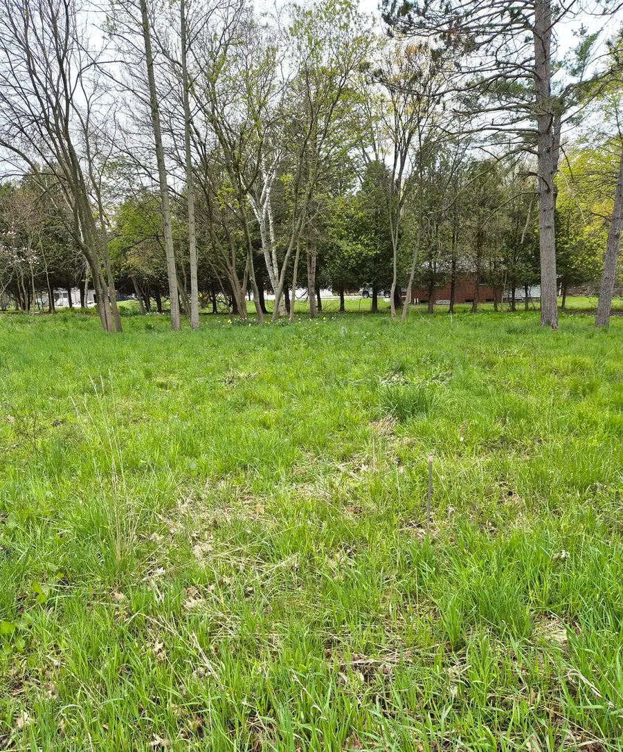 00 Mill Street, Onekama, MI 49675 - #3
