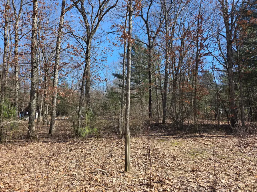 VL Grant Drive, Allegan, MI 49010 - #2