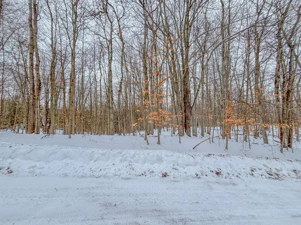 12349 Wagon Wheel Trail #386, Canadian Lakes, MI 49346