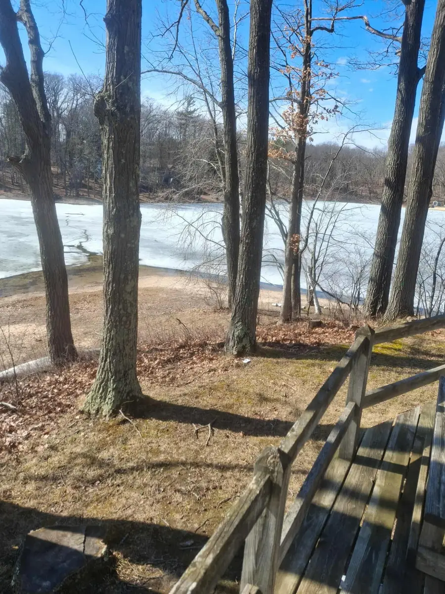 12101 Pearl Street, Leroy, MI 49655 - #2