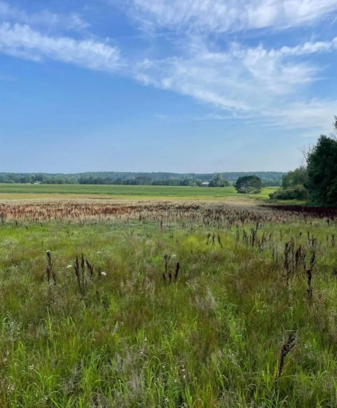 10 Acres +/- 3 Mile Road, Reed City, MI 49677 - #1