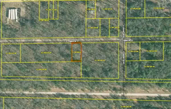 VL E Lynndon Street, Idlewild, MI 49642