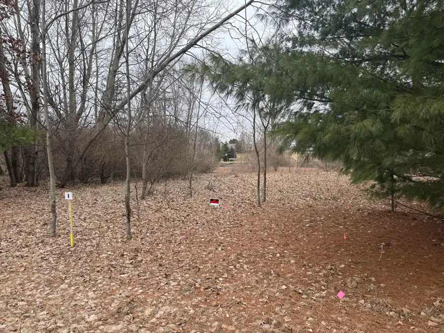 10340 N Peninsula Drive, Stanwood, MI 49346 - #3