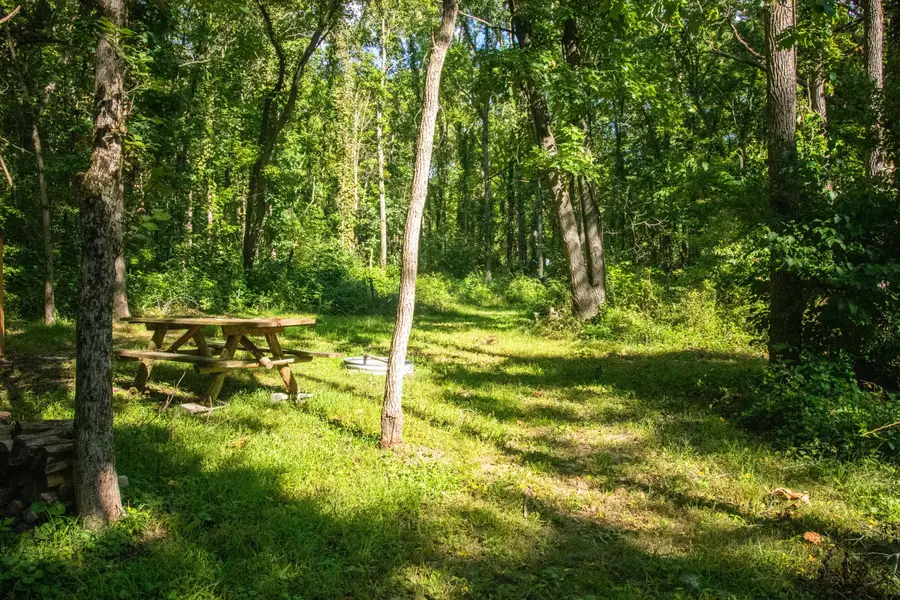 667 Pierce Road, Plainwell, MI 49080 - #2