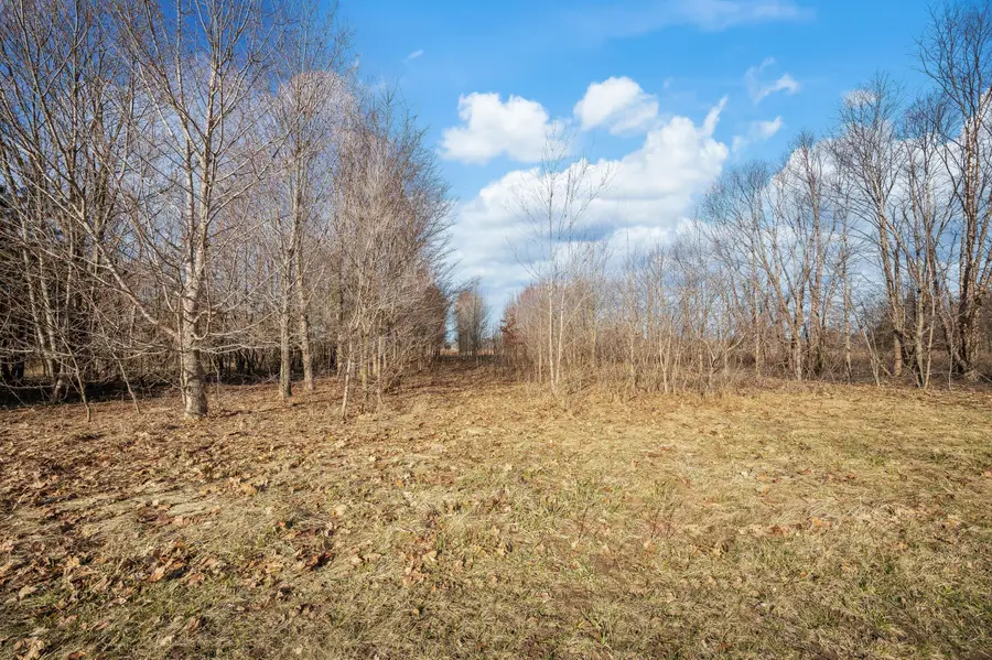 0 Cleveland Avenue, Baroda, MI 49101 - #3