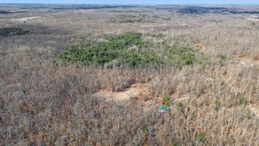 810 E 3 Mile Road, White Cloud, MI 49349 - #3