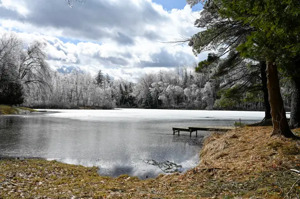 9828 Pontiac Trail, Evart, MI 49631