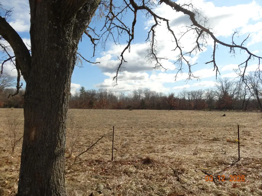 550 S Oak Avenue, White Cloud, MI 49349 - #2