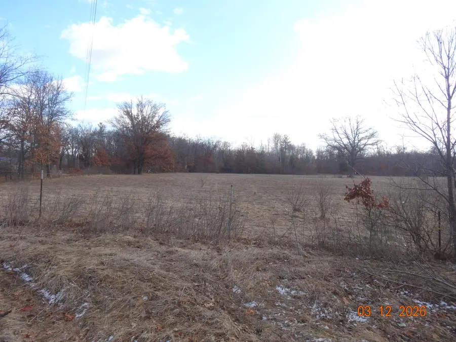 550 S Oak Avenue, White Cloud, MI 49349 - #3