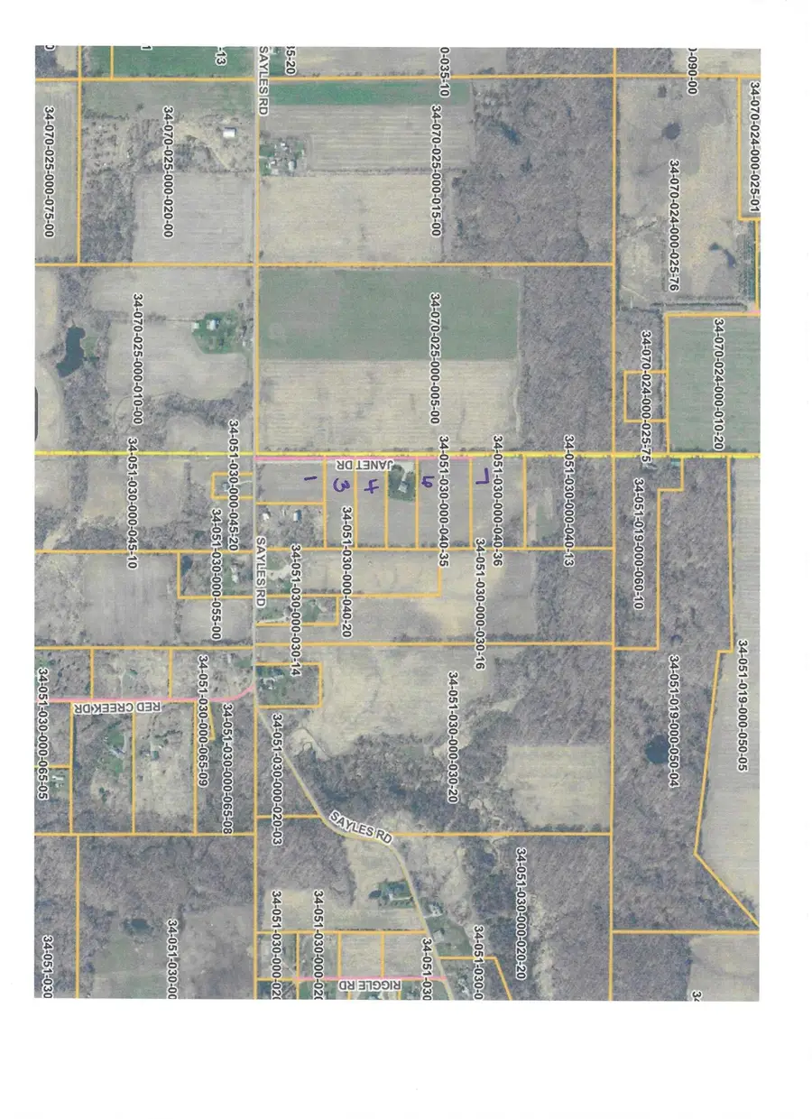 V/L Janet Dr Parcel 7, Saranac, MI 48881 - #2