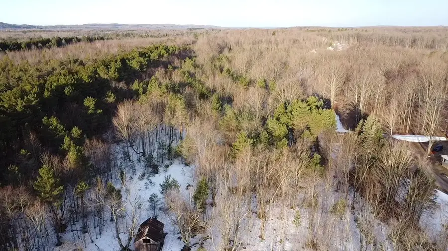 5766 Wallaker Road, Benzonia, MI 49616 - #3