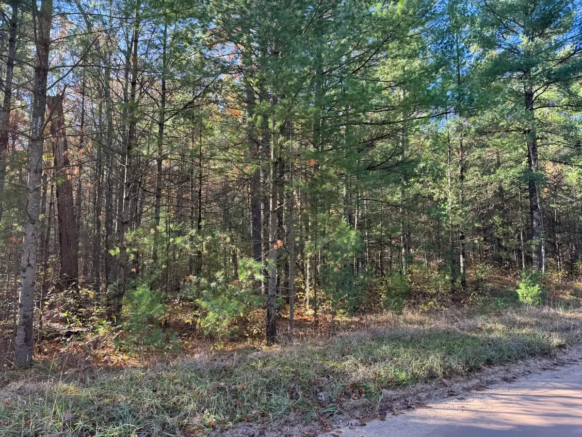 Parcel 1 County Line Road, Free Soil, MI 49411 - #1