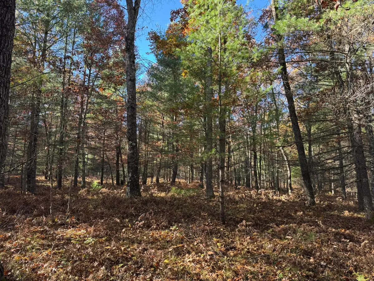 Parcel 2 County Line Road, Free Soil, MI 49411 - #1