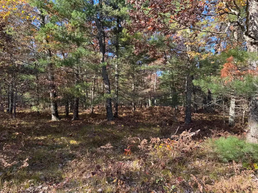 Parcel 3 County Line Road, Free Soil, MI 49411 - #3
