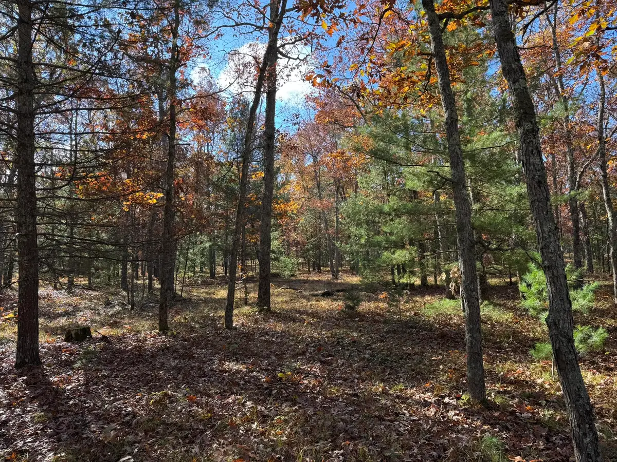 Parcel 6 County Line Road, Free Soil, MI 49411 - #1