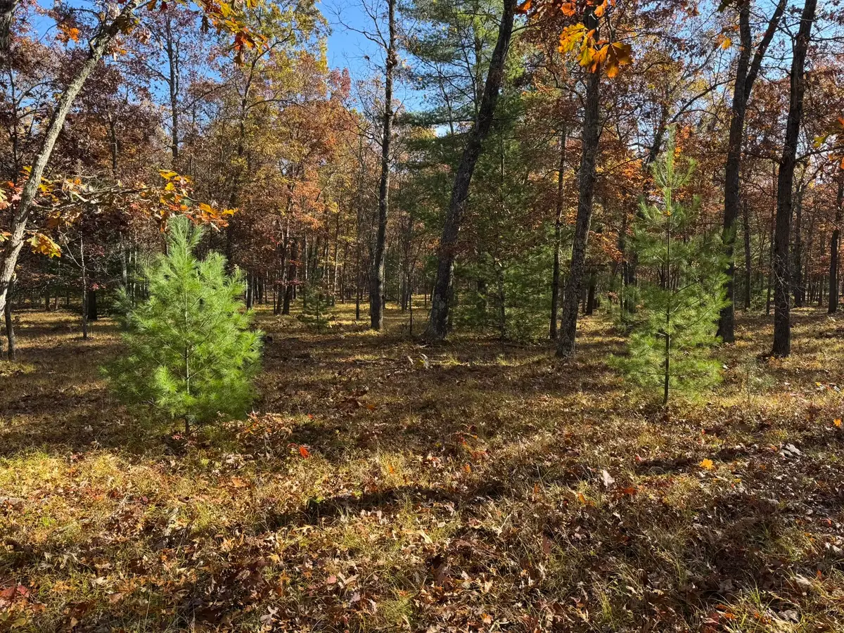 Parcel 7 County Line Road, Free Soil, MI 49411 - #1