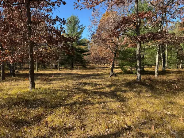Parcel 8 County Line Road, Free Soil, MI 49411