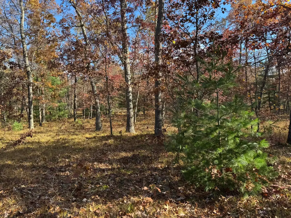 Parcel 9 County Line Road, Free Soil, MI 49411 - #1