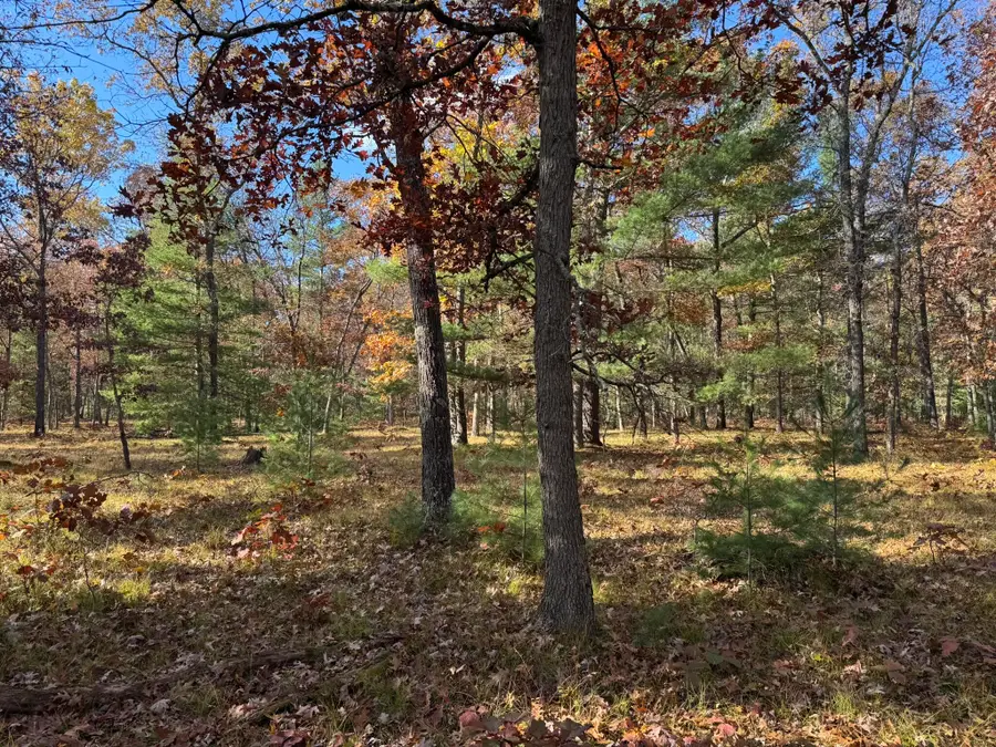 Parcel 11 County Line Road, Free Soil, MI 49411 - #3